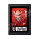 ROBIN MCBRIDE 2 Limited Edition Rugby Player Signed Print - Rugby