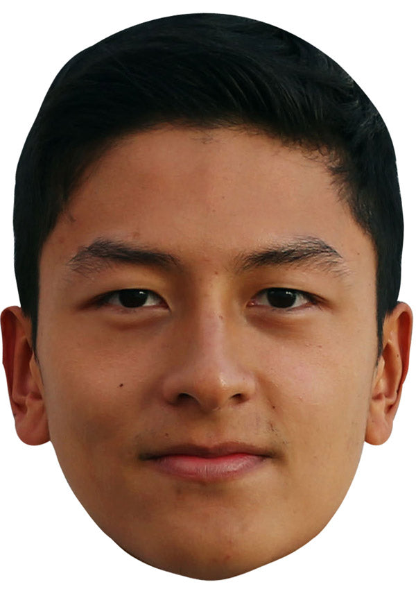 RIO HARYANTO JB - Formula 1 Driver Fancy Dress Cardboard Celebrity Party Face Mask
