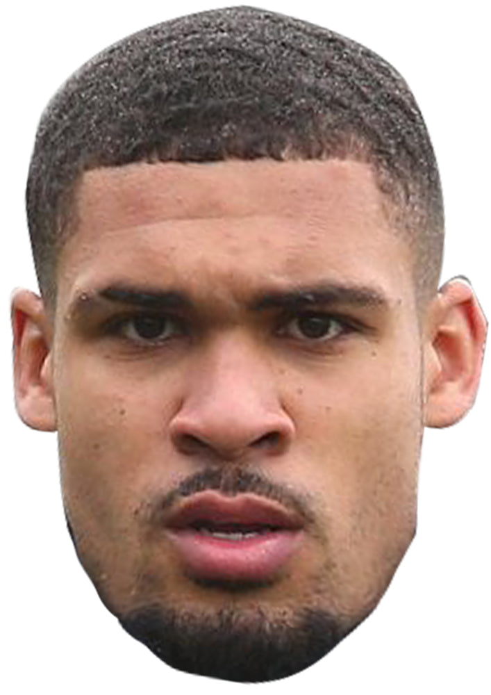 RUBEN LOFTUS CHEEK JB - Footballer Fancy Dress Cardboard Celebrity Party Face Mask