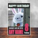 Secret Life Of Pets 3 THEME INSPIRED Style PERSONALISED Kids Adult FUNNY Birthday Card