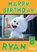 Secret Life Of Pets New 1 THEME INSPIRED Kids Adult Personalised Birthday Card