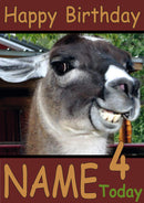 Smug Llama Funny Kids Adult Personalised Birthday Card Gift Present