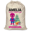 PERSONALISED Cartoon Inspired Super Hero Spidy Girl - XL Children's Christmas Santa Sack CUSTOMISE Present