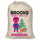 PERSONALISED Cartoon Inspired Super Hero Spidy Girl BROOKE - XL Children's Christmas Santa Sack CUSTOMISE Present