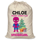 PERSONALISED Cartoon Inspired Super Hero Spidy Girl CHLOE - XL Children's Christmas Santa Sack CUSTOMISE Present