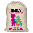PERSONALISED Cartoon Inspired Super Hero Spidy Girl EMILY - XL Children's Christmas Santa Sack CUSTOMISE Present