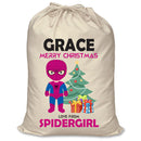 PERSONALISED Cartoon Inspired Super Hero Spidy Girl GRACE - XL Children's Christmas Santa Sack CUSTOMISE Present