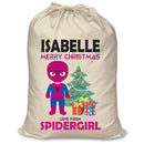 PERSONALISED Cartoon Inspired Super Hero Spidy Girl ISABELLE - XL Children's Christmas Santa Sack CUSTOMISE Present