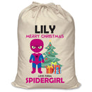 PERSONALISED Cartoon Inspired Super Hero Spidy Girl LILY - XL Children's Christmas Santa Sack CUSTOMISE Present