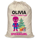 PERSONALISED Cartoon Inspired Super Hero Spidy Girl OLIVIA - XL Children's Christmas Santa Sack CUSTOMISE Present
