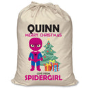 PERSONALISED Cartoon Inspired Super Hero Spidy Girl QUINN - XL Children's Christmas Santa Sack CUSTOMISE Present