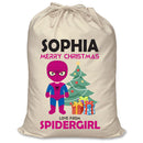 PERSONALISED Cartoon Inspired Super Hero Spidy Girl SOPHIA - XL Children's Christmas Santa Sack CUSTOMISE Present