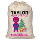 PERSONALISED Cartoon Inspired Super Hero Spidy Girl TAYLOR - XL Children's Christmas Santa Sack CUSTOMISE Present