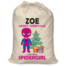 PERSONALISED Cartoon Inspired Super Hero Spidy Girl ZOE - XL Children's Christmas Santa Sack CUSTOMISE Present