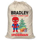 PERSONALISED Cartoon Inspired Super Hero Spider Boy - XL Children's Christmas Santa Sack CUSTOMISE Present