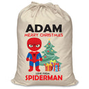 PERSONALISED Cartoon Inspired Super Hero Spider Boy ADAM - XL Children's Christmas Santa Sack CUSTOMISE Present