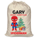 PERSONALISED Cartoon Inspired Super Hero Spider Boy GARY - XL Children's Christmas Santa Sack CUSTOMISE Present