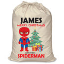 PERSONALISED Cartoon Inspired Super Hero Spider Boy JAMES - XL Children's Christmas Santa Sack CUSTOMISE Present