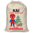 PERSONALISED Cartoon Inspired Super Hero Spider Boy KAI - XL Children's Christmas Santa Sack CUSTOMISE Present