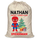 PERSONALISED Cartoon Inspired Super Hero Spider Boy NATHAN - XL Children's Christmas Santa Sack CUSTOMISE Present