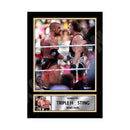TRIPLE H _ STING Limited Edition MMA Wrestler Signed Print - MMA Wrestling