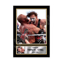 TRIPLE H _ STING 2 Limited Edition MMA Wrestler Signed Print - MMA Wrestling