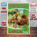 The Adventures Of Abney & Teal 10 Style Theme Personalised Kidshows Birthday Card (SA)