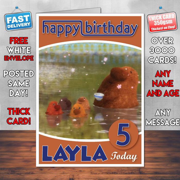 The Adventures Of Abney & Teal 8 Style Theme Personalised Kidshows Birthday Card (SA)