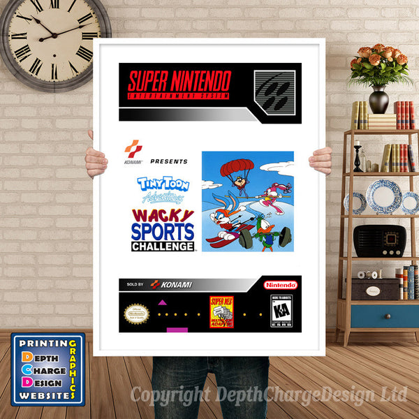 Tiny Toon Adventures Wacky Sports Challenge Super Nintendo Game Inspired Theme