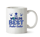 Worlds Best Pewter Caster Mug - Novelty Funny Mug
