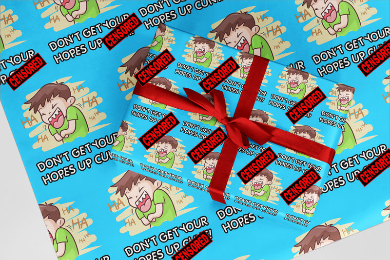Rude Wrapping Paper 04 Don't Get Your hopes Up Cxxx Funny Christmas and Birthday Gift Wrap