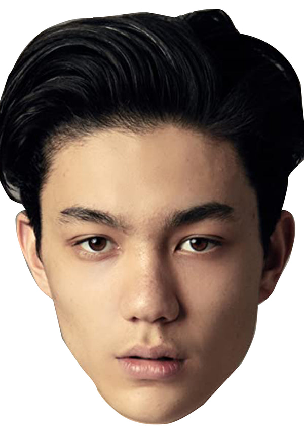 William Gao Face Mask – Fancy Dress Cardboard Costume Mask