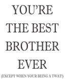 YOUR THE BEST BROTHER EVER! RUDE NAUGHTY INSPIRED Adult Personalised Birthday Card