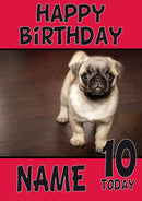 Baby Pug DOGS AND Funny Puppy Kids Adult Personalised Birthday Card Kirsten