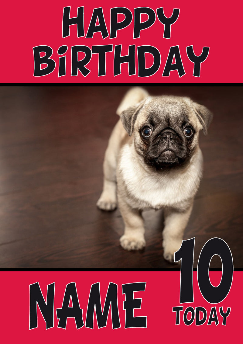 Baby Pug DOGS AND Funny Puppy Kids Adult Personalised Birthday Card Kirsten