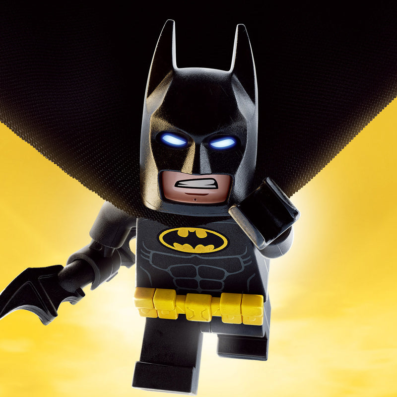 Lego Batman Lego Display Case 2 - Minifigure Display Background and Frames