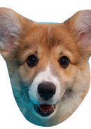 Corgi Pup Cut Out Celebrity Face Mask Fancy Dress Cardboard Costume Mask