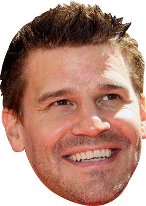 David Boreanaz Celebrity Face Mask Fancy Dress Cardboard Costume Mask