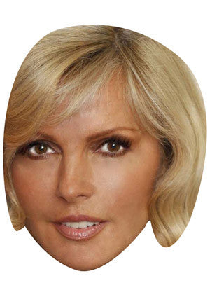 David Van Day 1 Celebrity Face Mask Fancy Dress Cardboard Costume Mask