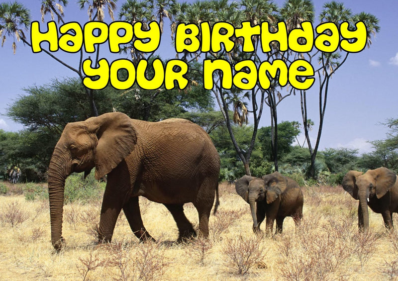 Elephants Kids Adult FUNNY Kids Adult FUNNY Personalised Birthday Card