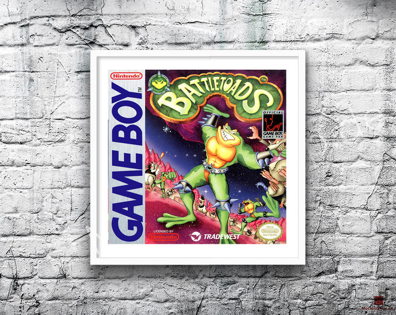 Battle Toads Game Style Inspired Retro Gaming Poster A2 A3 Or A4