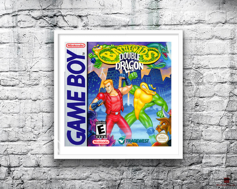 Battle Toads Double Dragon Game Style Inspired Retro Gaming Poster A2 A3 Or A4