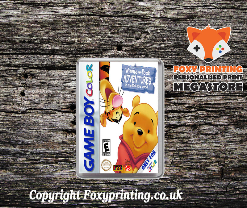 Winnie The Pooh Adventures in the 100 Acre Wood Retro Gaming Magnet