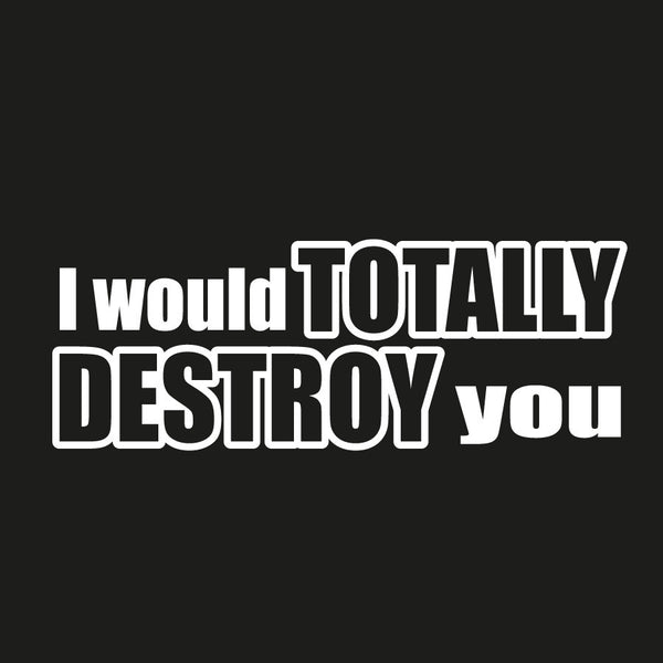 I Would Totally Destroy You Novelty Vinyl Car Sticker