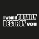 I Would Totally Destroy You Novelty Vinyl Car Sticker