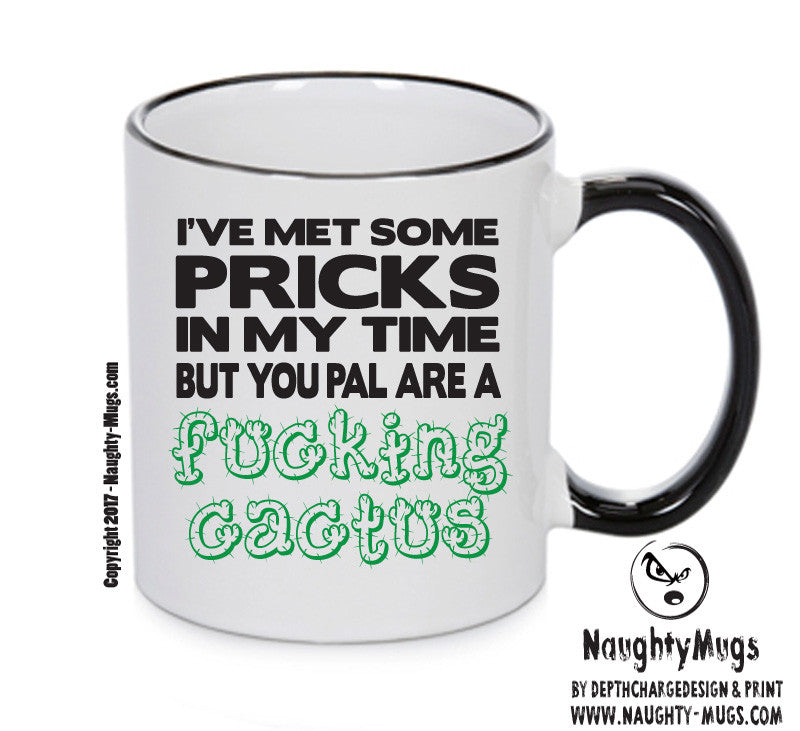 I'VE MET SOME PRICKS IN MY TIME Funny Mug Adult Mug Office Mug – printed mug product image 1