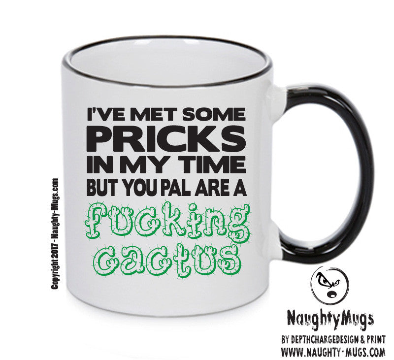 I'VE MET SOME PRICKS IN MY TIME Funny Mug Adult Mug Office Mug