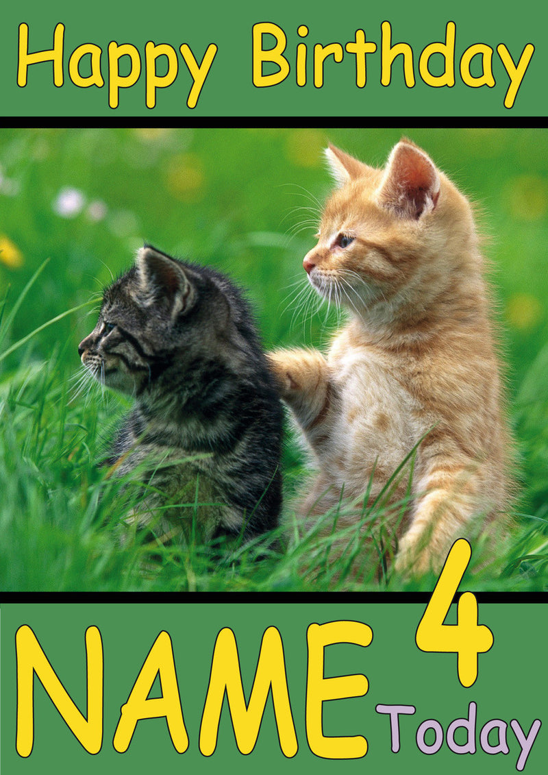 Kittens Looking Over Grass Funny Kids Adult Personalised Birthday Card Gift Present