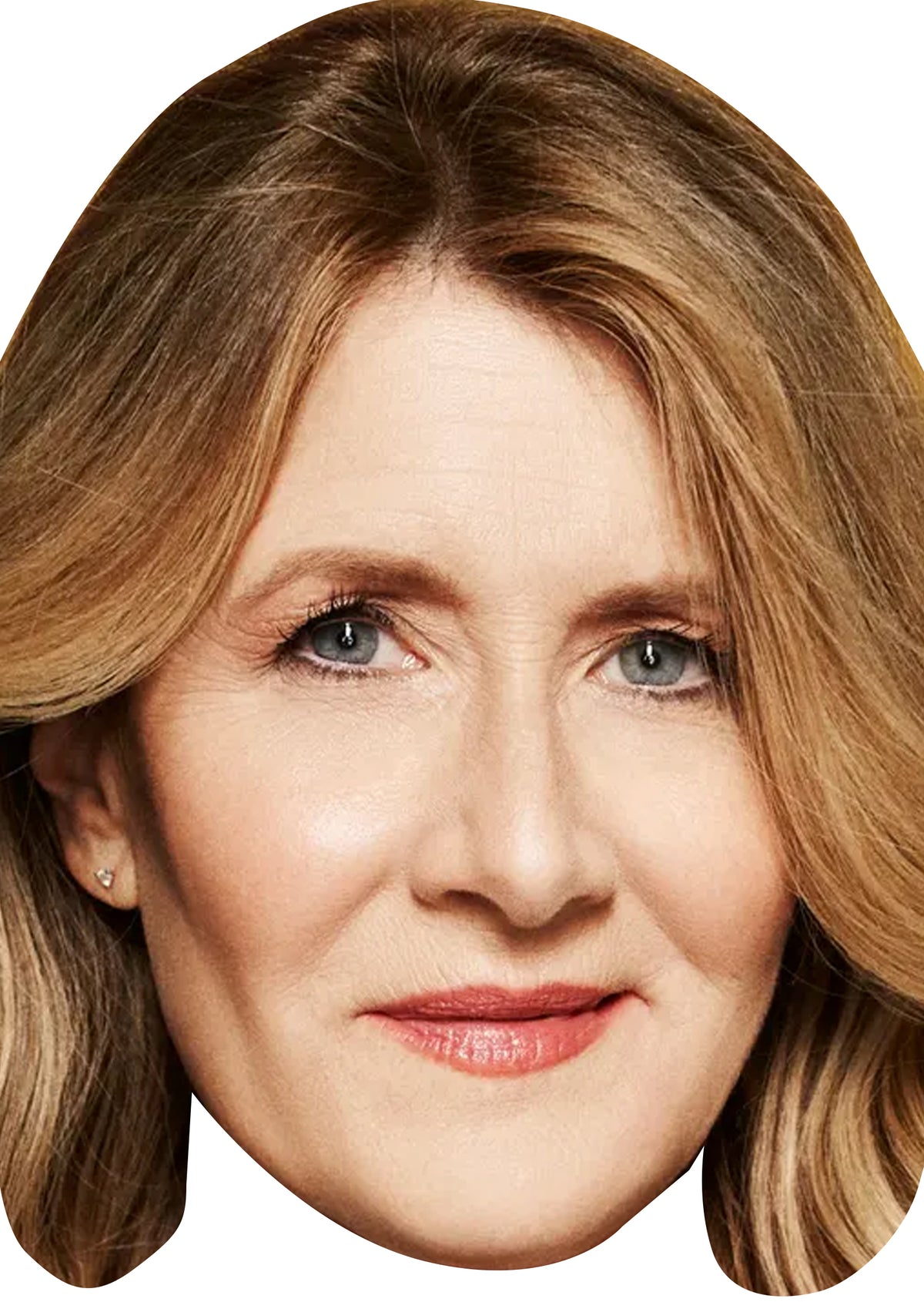 Laura Dern Face Mask – Fancy Dress Cardboard Costume Mask – Laura Dern Face Mask
