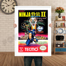 Ninjagaiden2 Retro GAME INSPIRED THEME Nintendo NES Gaming A4 A3 A2 Or A1 Poster Art 420
